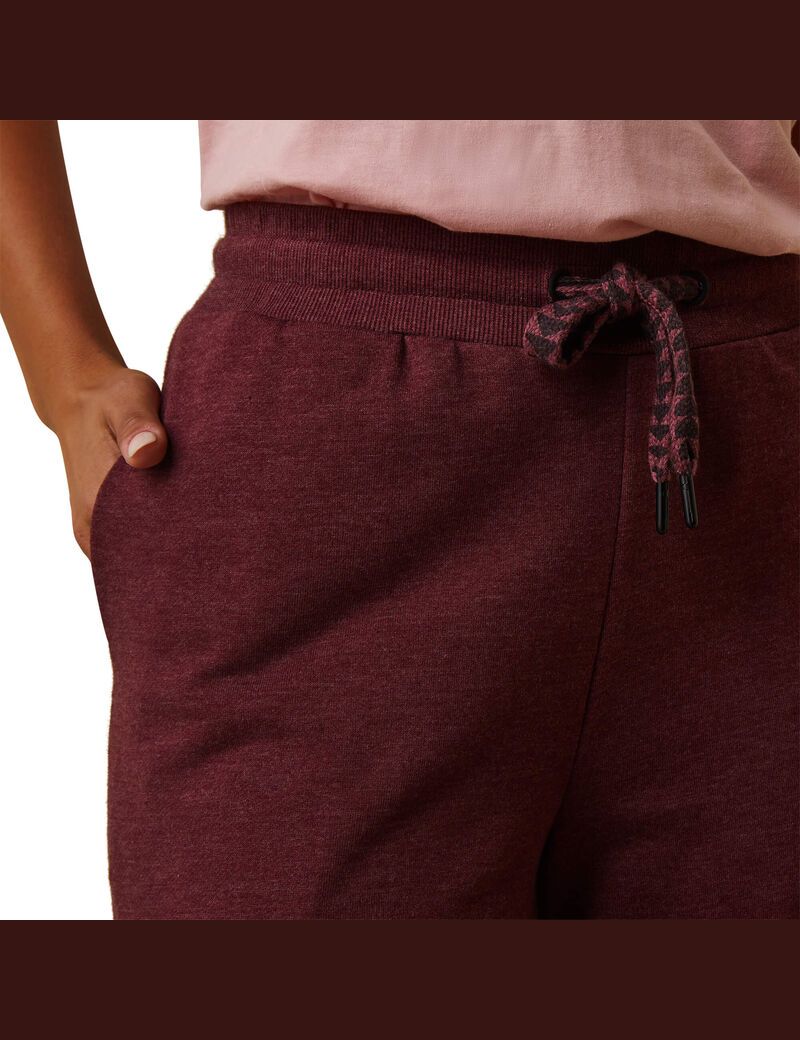 Pantalon Ariat Route Runner Bordeaux | AXH-1642919