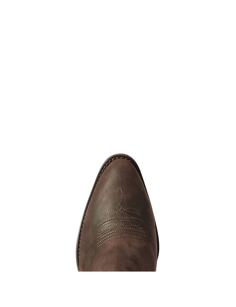 Bottines Ariat Encore R Embout Western Marron | WXY-2467639