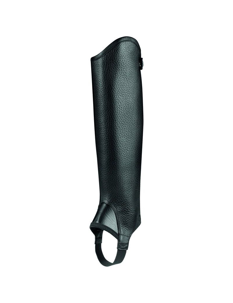 Bottes D'équitation Ariat Concord Chap Half Chap Noir | BFN-6800545