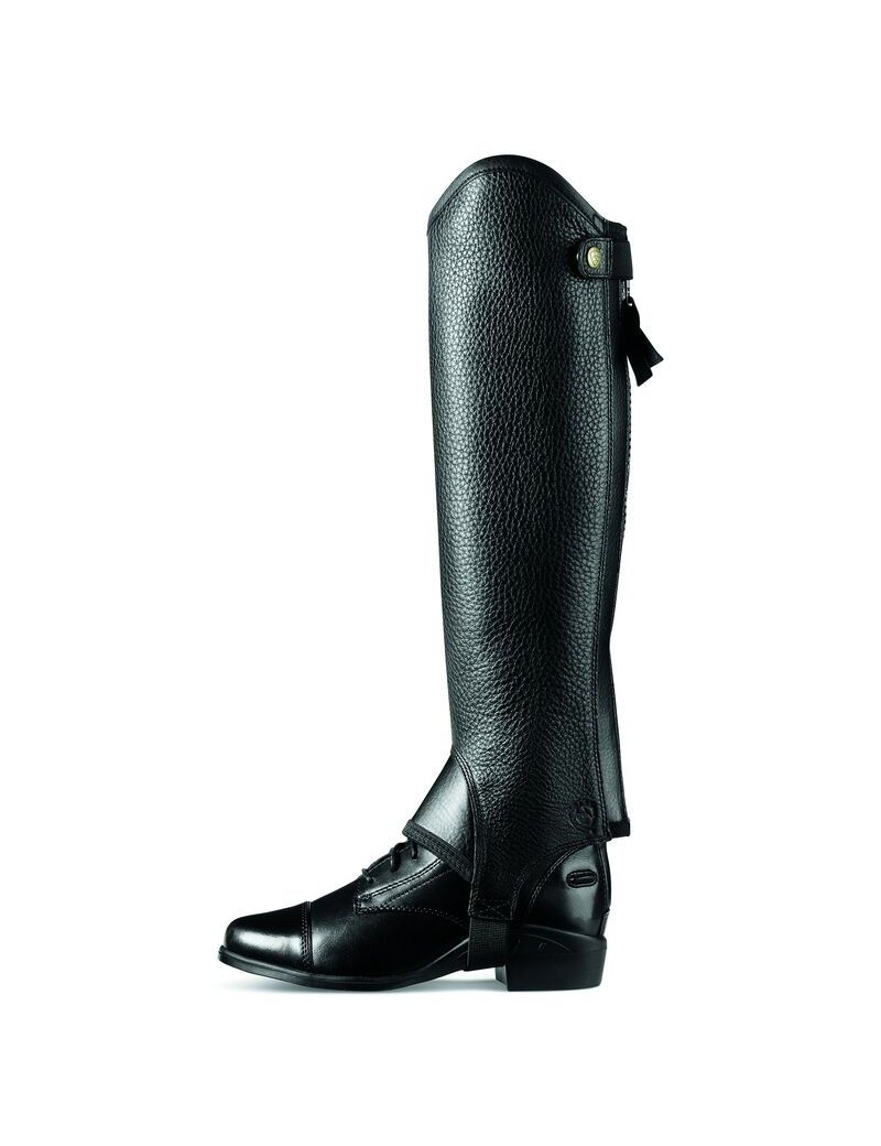 Bottes D'équitation Ariat Concord Chap Half Chap Noir | BFN-6800545