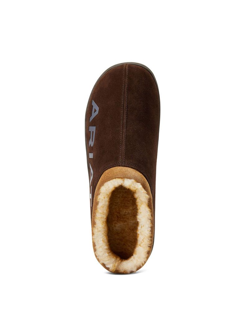 Chaussons Ariat Logo Encapuchonné Back Clog Chocolat | UOB-1061466