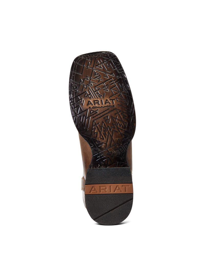 Bottes Western Ariat Circuit Savanna Grise Marron | HEG-4091773