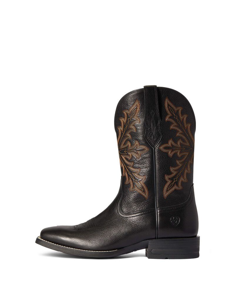 Bottes Western Ariat Qualifier Bleu | QCG-6064928