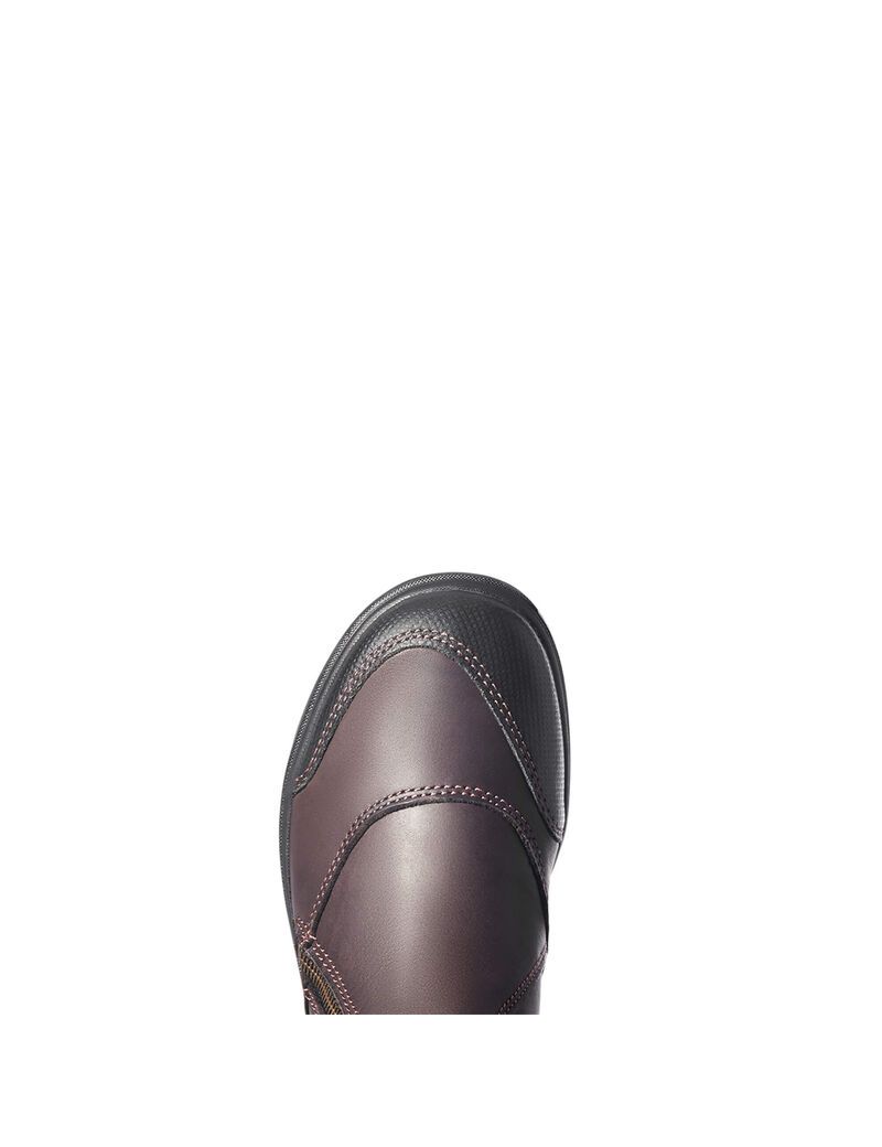 Bottes D'équitation Ariat Barnyard Side Zip Marron Foncé | ZBW-9807014