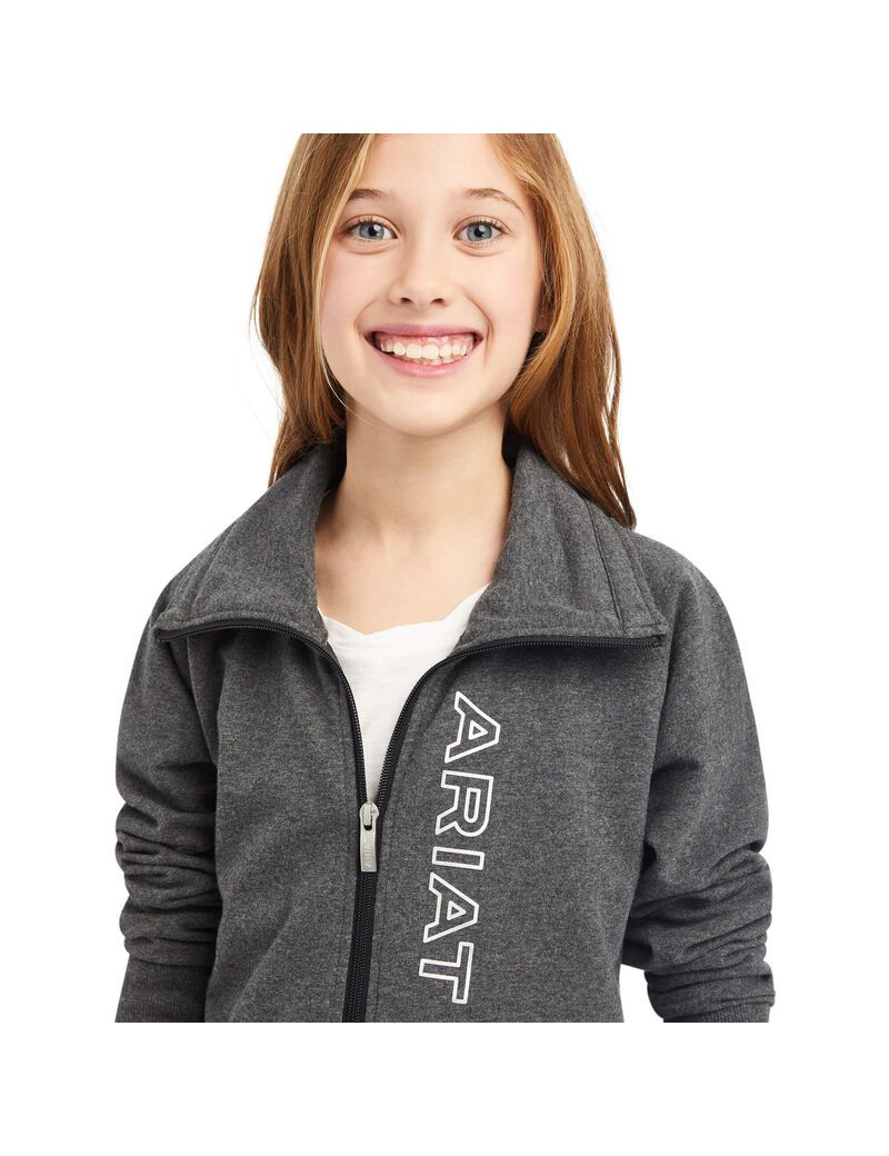 Sweats Ariat Team Logo Full Zip Grise | CUR-0032093