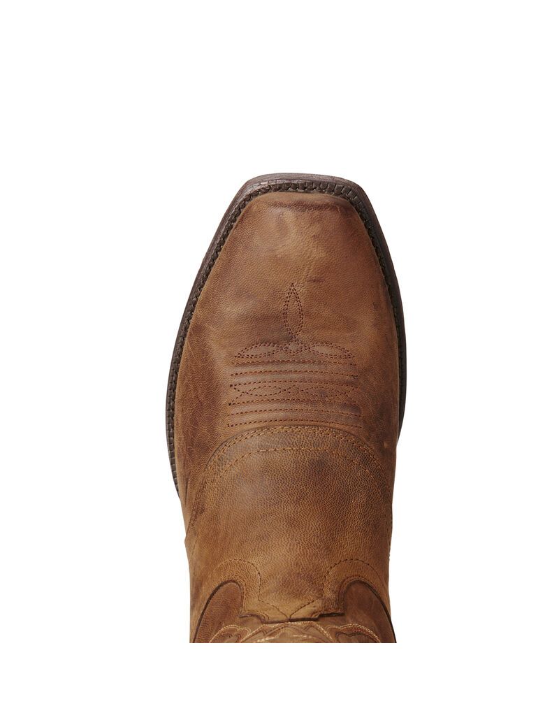 Bottes Western Ariat Circuit Striker Marron | LJX-7946288