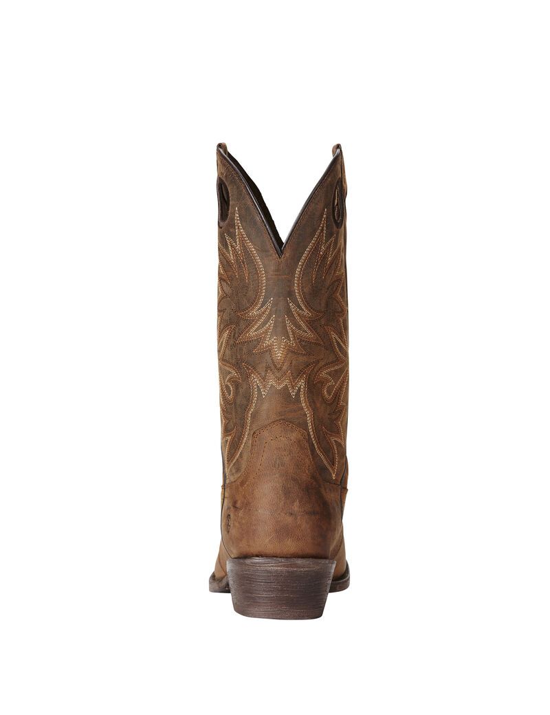 Bottes Western Ariat Circuit Striker Marron | LJX-7946288