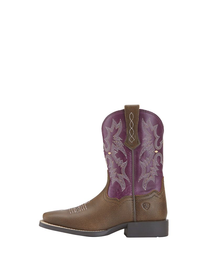 Bottes Western Ariat Tombstone Multicolore | SCO-3640287