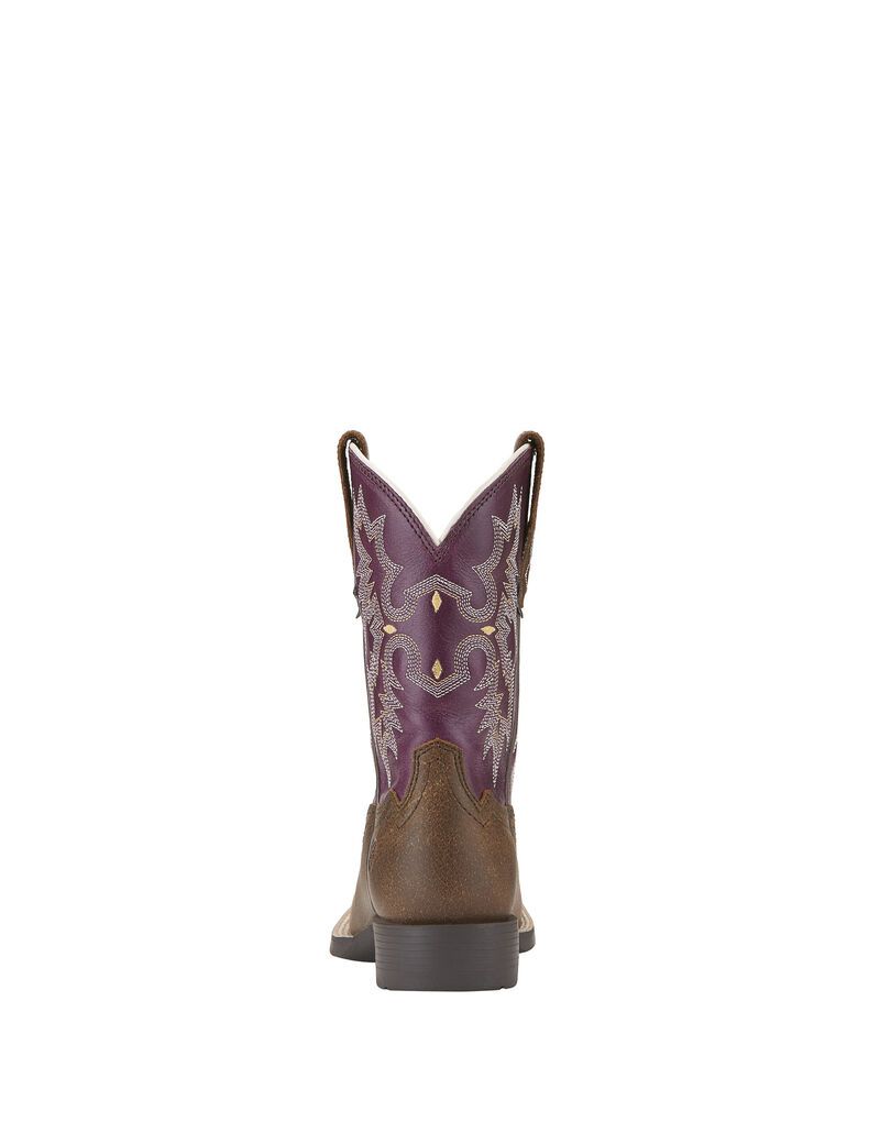 Bottes Western Ariat Tombstone Multicolore | SCO-3640287