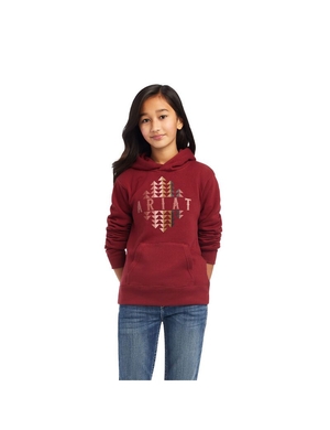 Sweat à Capuche Ariat REAL Beartooth Rouge Foncé | WUQ-5250754