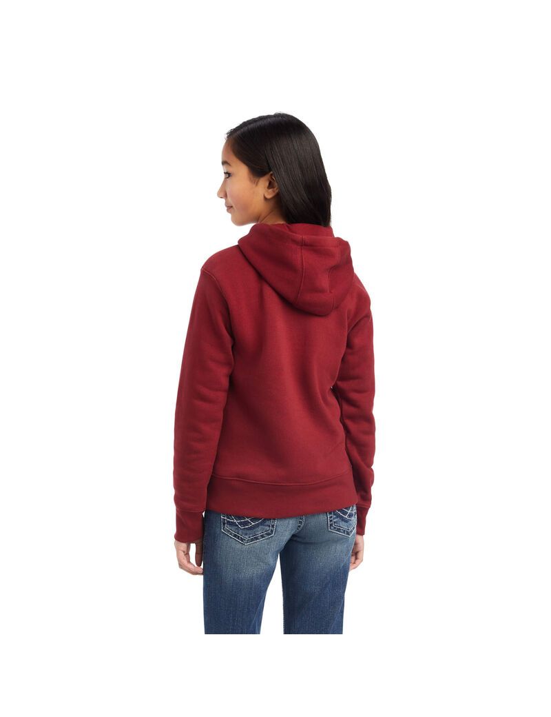 Sweat à Capuche Ariat REAL Beartooth Rouge Foncé | WUQ-5250754