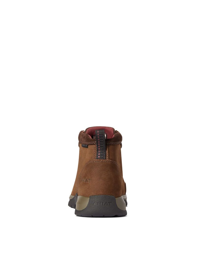 Bottes de Travail Ariat Edge LTE Moc Composite Embout Marron Foncé | UZV-3173690