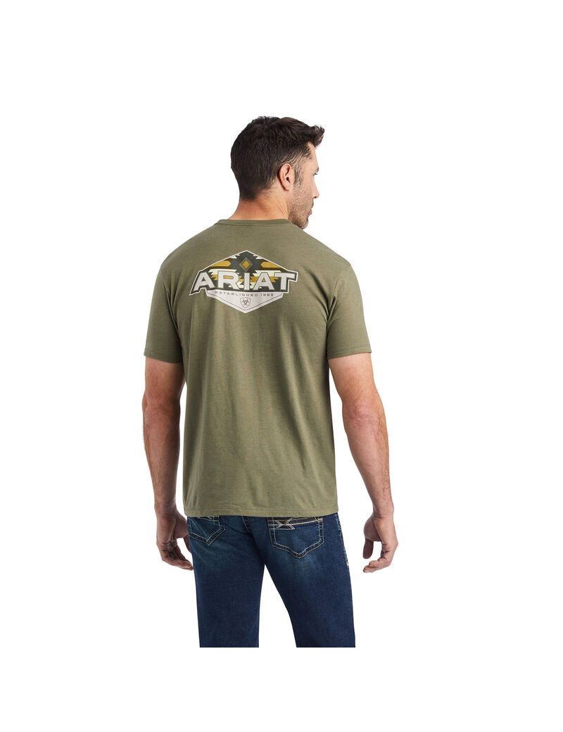 T Shirts Ariat Hexafill Multicolore | QFH-6394135