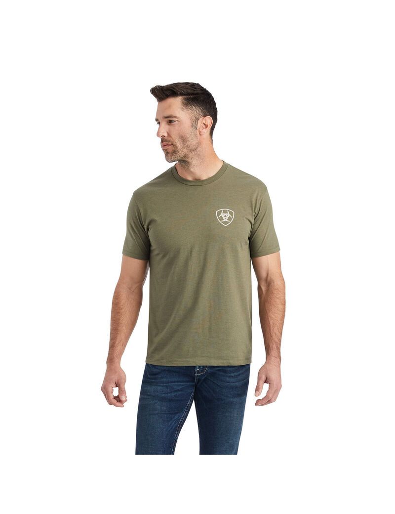 T Shirts Ariat Hexafill Multicolore | QFH-6394135