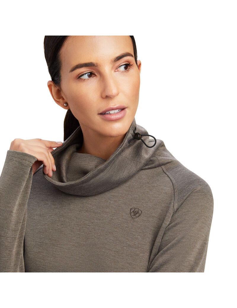 Sweat à Capuche Ariat Canny Top Multicolore | SSC-6540278