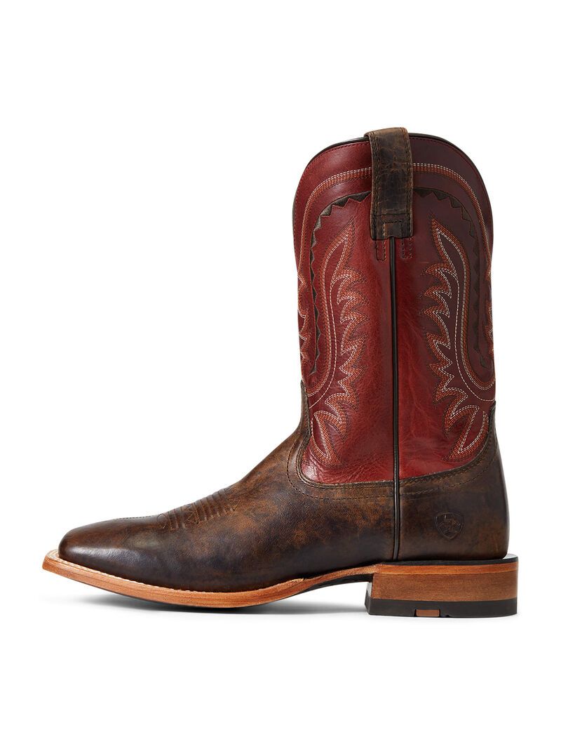 Bottes Western Ariat Parada Multicolore | AMB-3081773