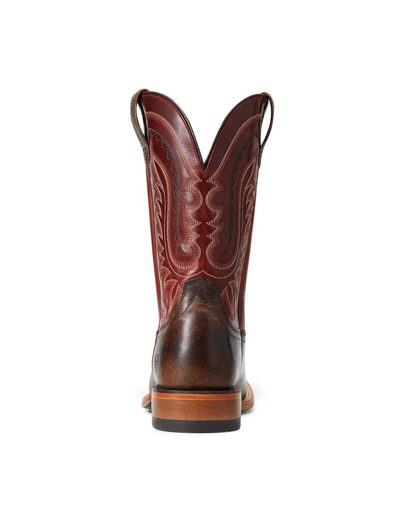 Bottes Western Ariat Parada Multicolore | AMB-3081773