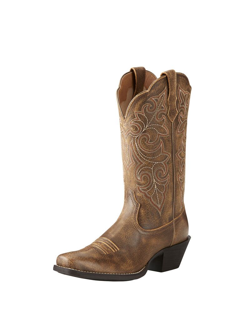 Bottes Western Ariat Round Up Square Embout Multicolore | SVJ-3973764