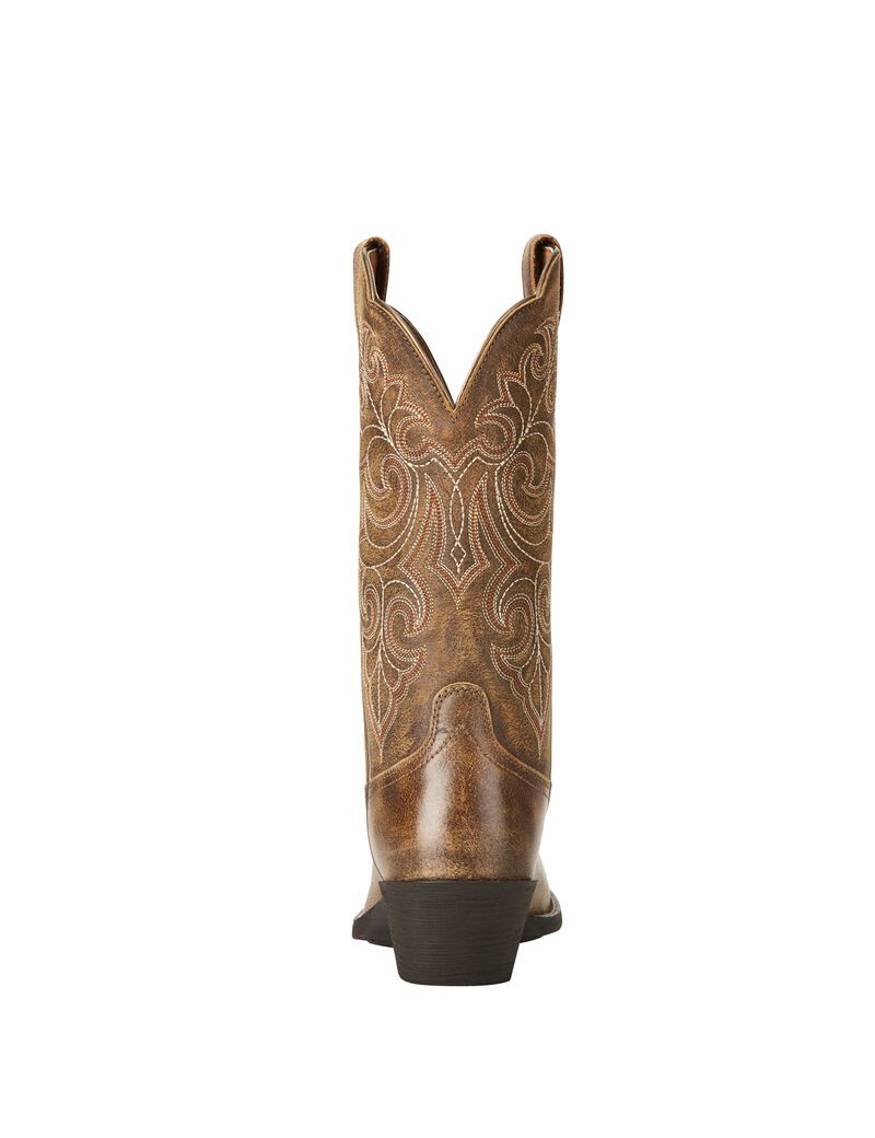 Bottes Western Ariat Round Up Square Embout Multicolore | SVJ-3973764