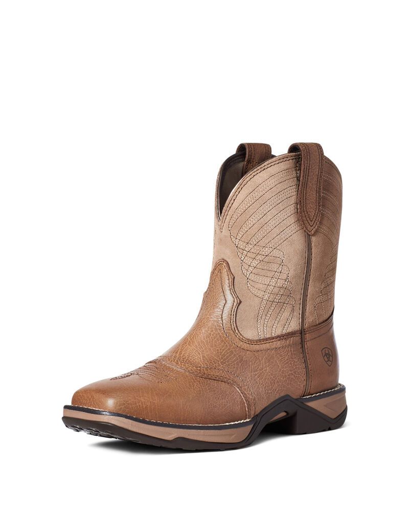 Bottes Western Ariat Anthem Shortie Multicolore | NZF-5156569