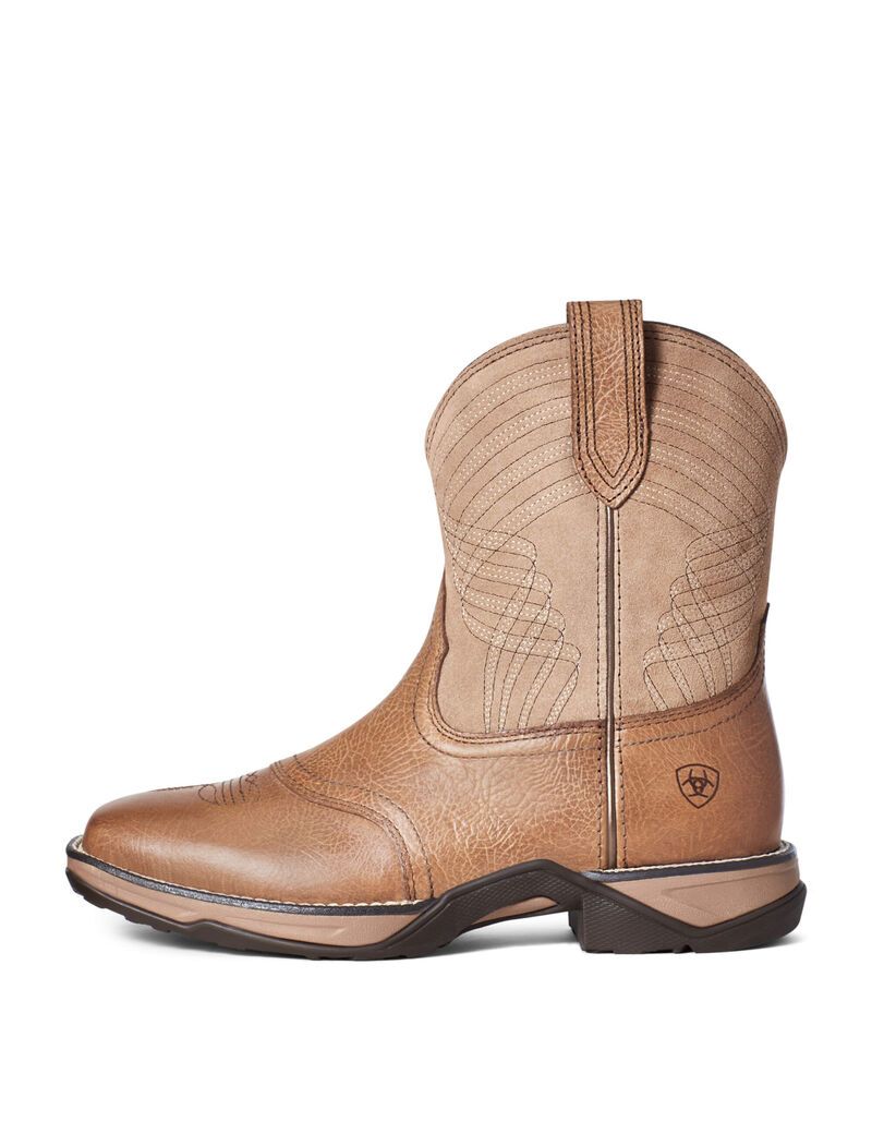 Bottes Western Ariat Anthem Shortie Multicolore | NZF-5156569