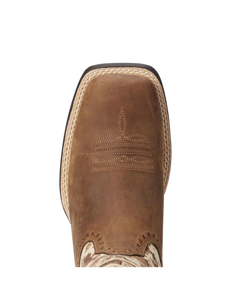 Bottes Western Ariat Round Up Patriot Marron | NLQ-2833460