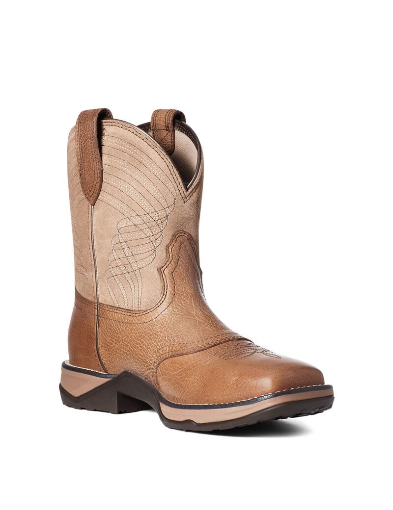 Bottes Western Ariat Anthem Shortie Multicolore | NZF-5156569