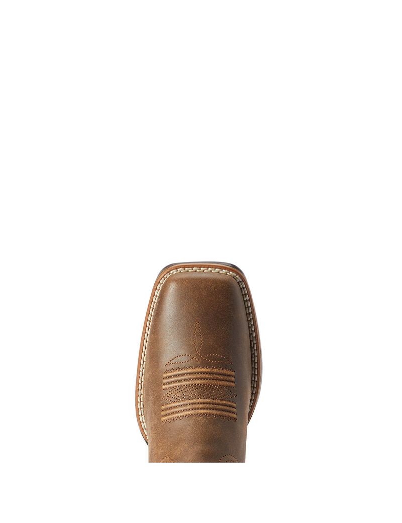 Bottes Western Ariat Odessa Stretchfit Marron | NVQ-9956029