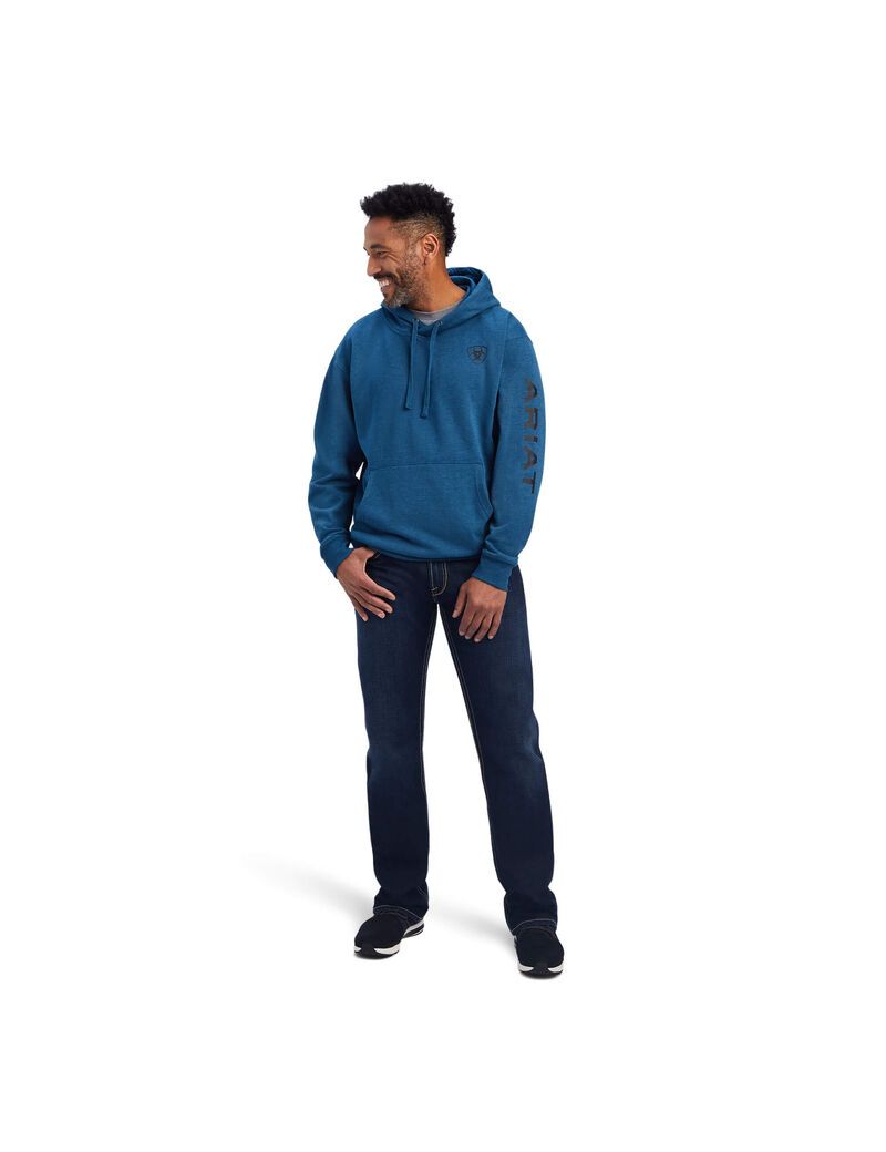 Sweat à Capuche Ariat Logo Bleu Marine | YZK-3781924