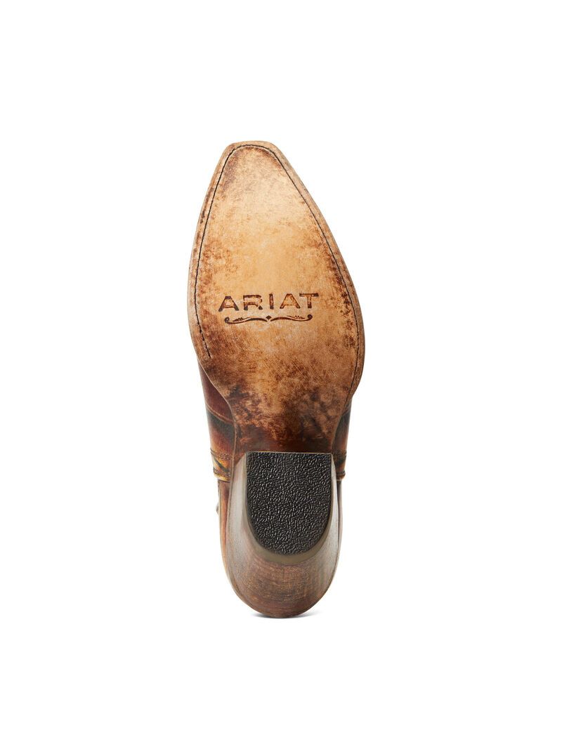 Bottines Ariat Dixon Western Multicolore | ABB-8511497