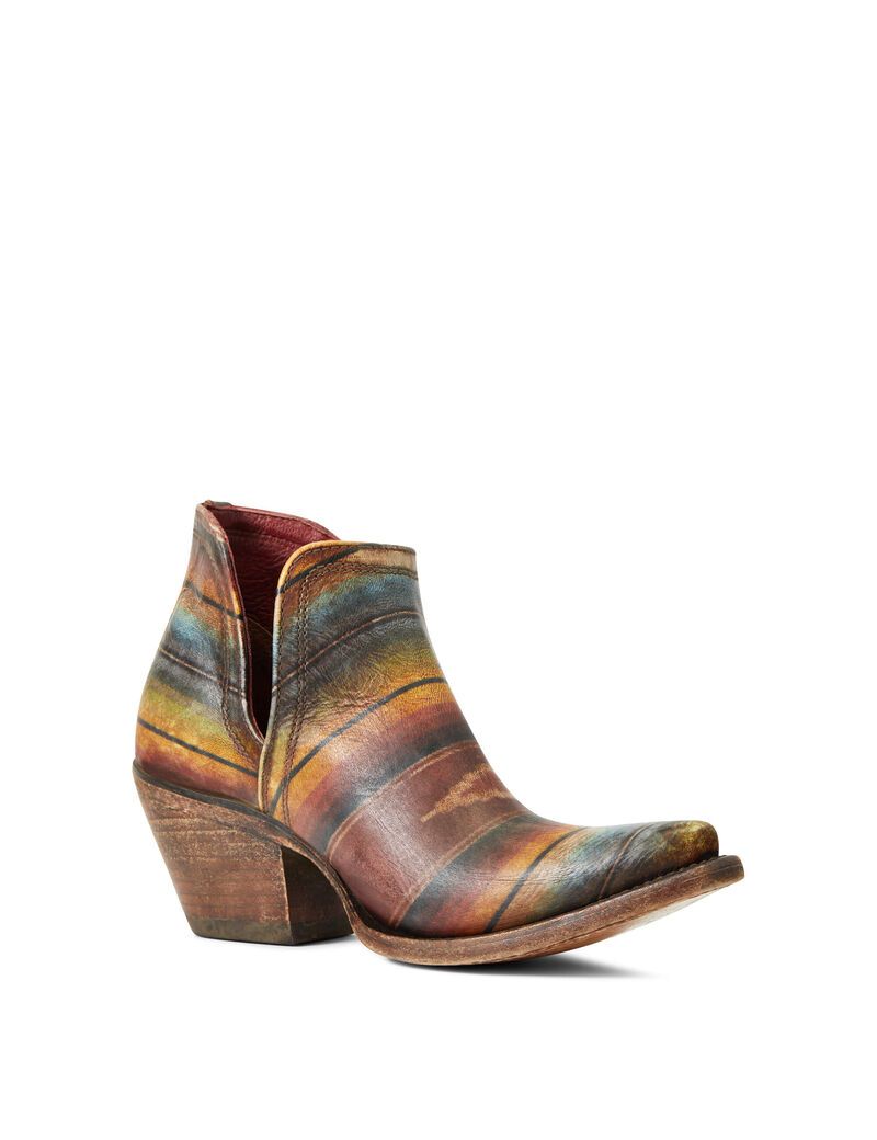 Bottines Ariat Dixon Western Multicolore | ABB-8511497