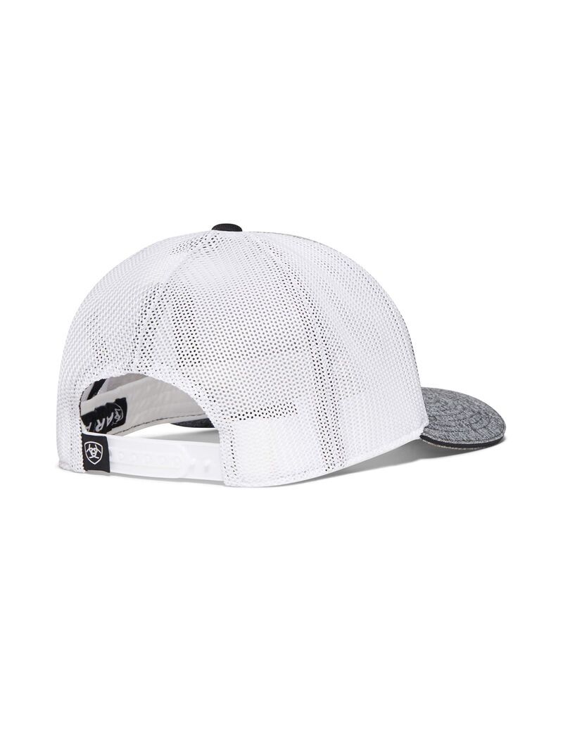 Casquettes Ariat Mexico Grise | CJV-4381642