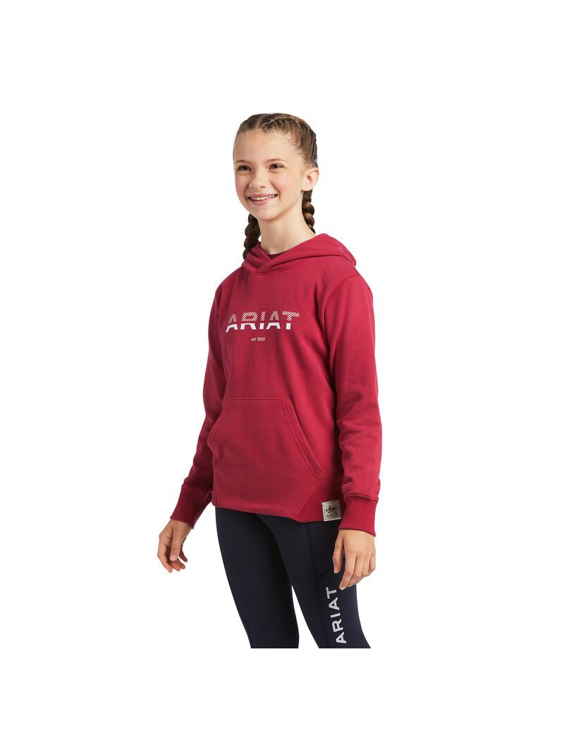 Sweat à Capuche Ariat 3D Logo 2.0 Rouge | RCH-0655393