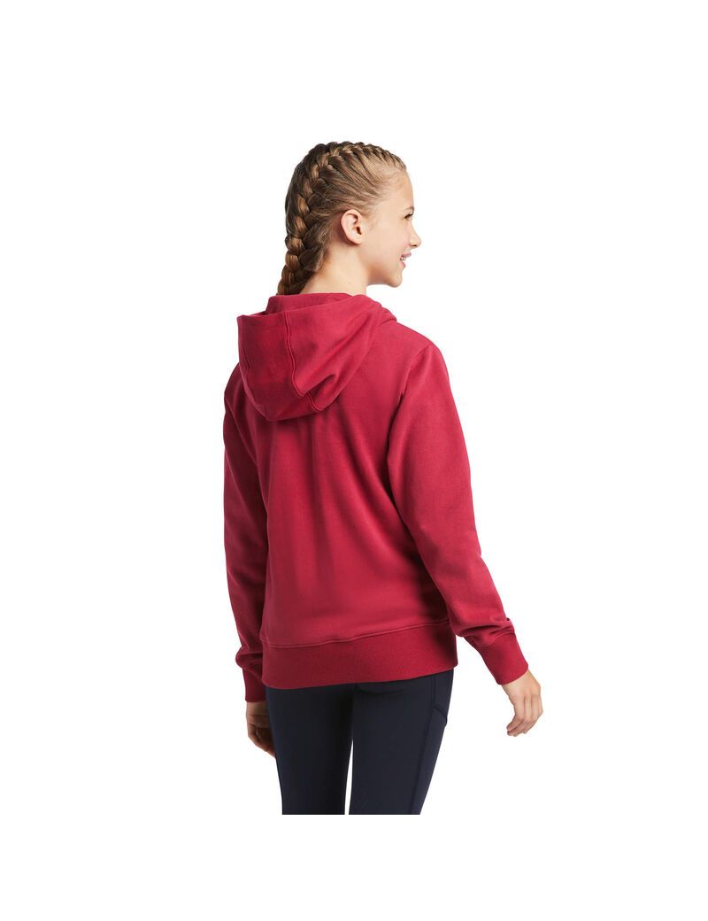 Sweat à Capuche Ariat 3D Logo 2.0 Rouge | RCH-0655393