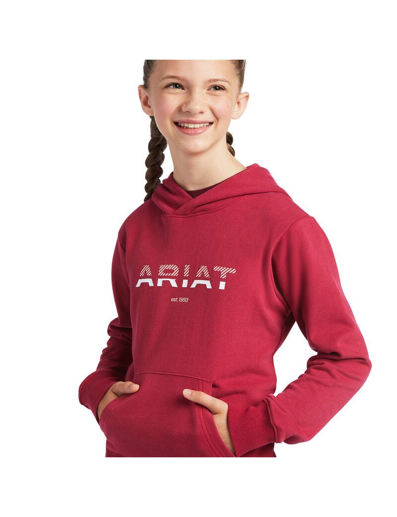 Sweat à Capuche Ariat 3D Logo 2.0 Rouge | RCH-0655393