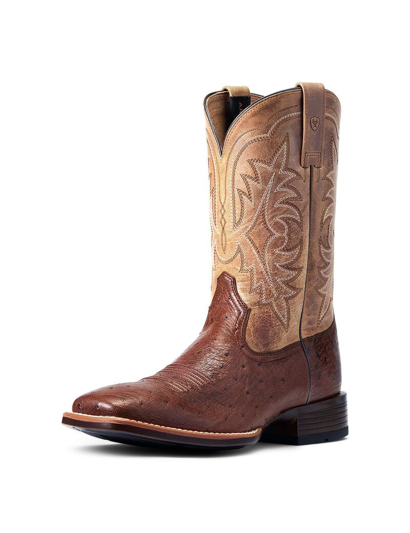 Bottes Western Ariat Night Life Ultra Multicolore | FSH-0302649