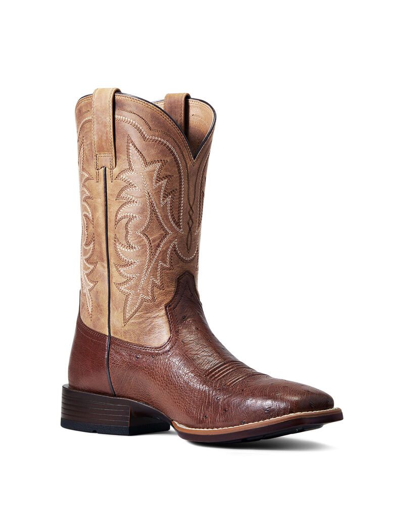 Bottes Western Ariat Night Life Ultra Multicolore | FSH-0302649