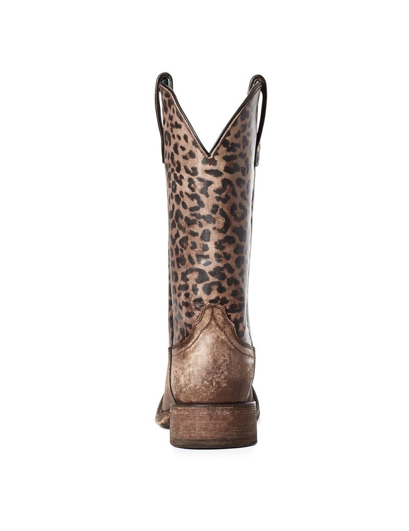 Bottes Western Ariat Circuit Savanna Marron | BDL-4983077