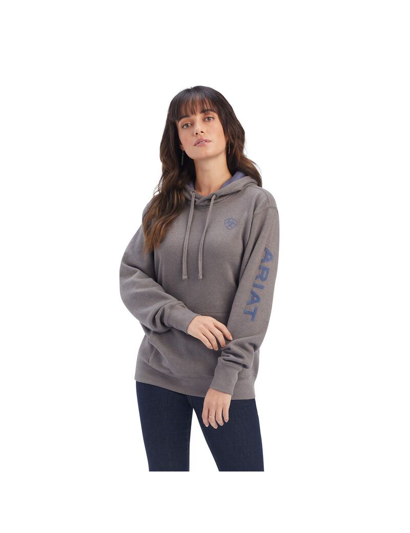 Sweat à Capuche Ariat REAL Arm Logo Grise | EIH-4507240