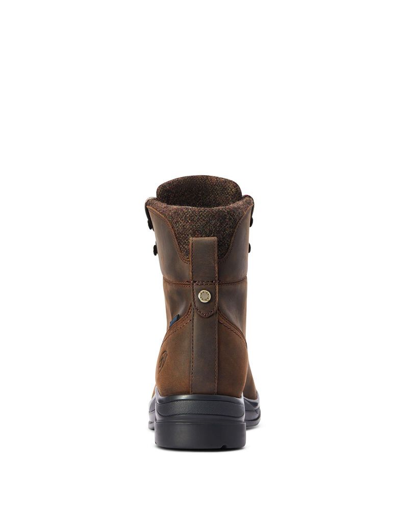 Bottes Imperméables Ariat Harper Imperméables Chocolat | UXD-5522857