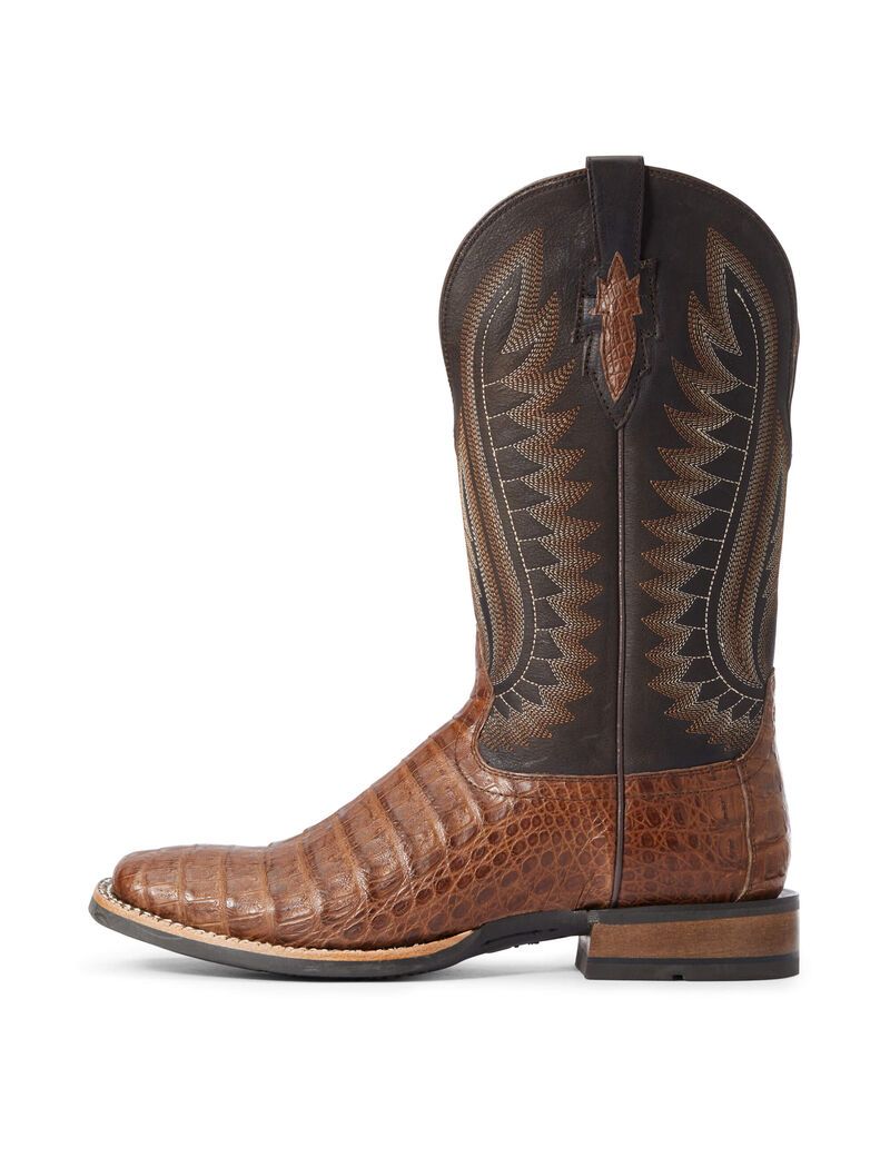 Bottes Western Ariat Double Down Multicolore | YHK-2385321