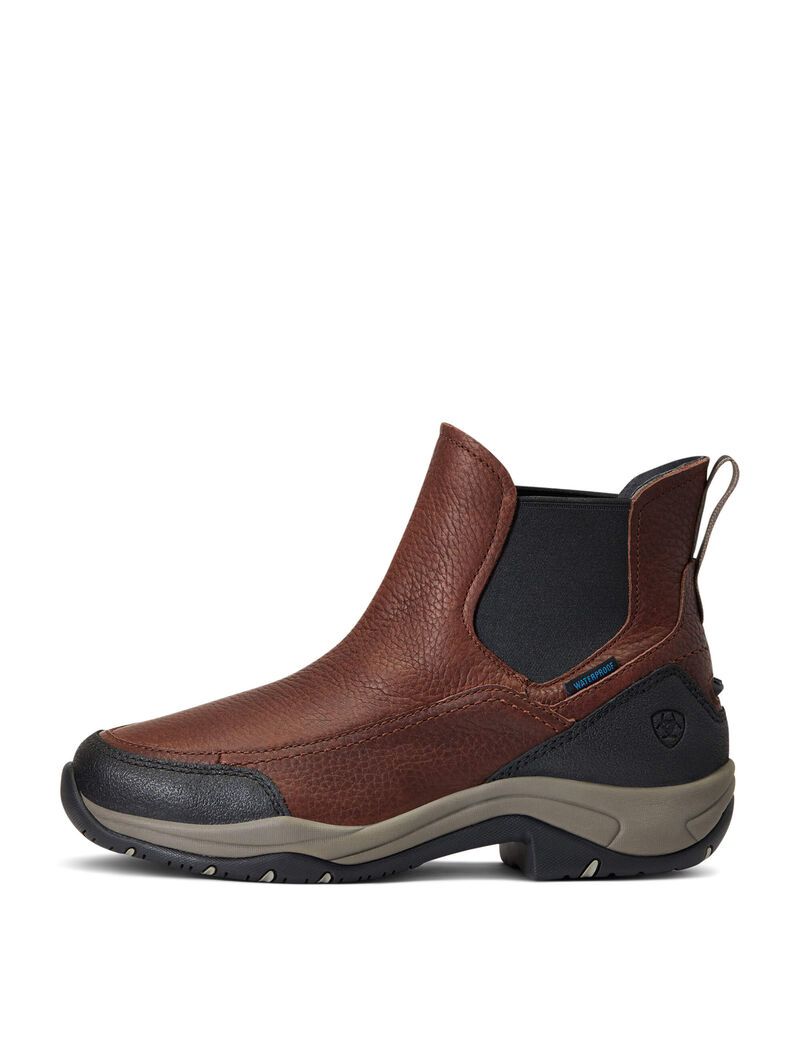 Bottes D'équitation Ariat Terrain Blaze Imperméables Marron Foncé | QGF-2549365