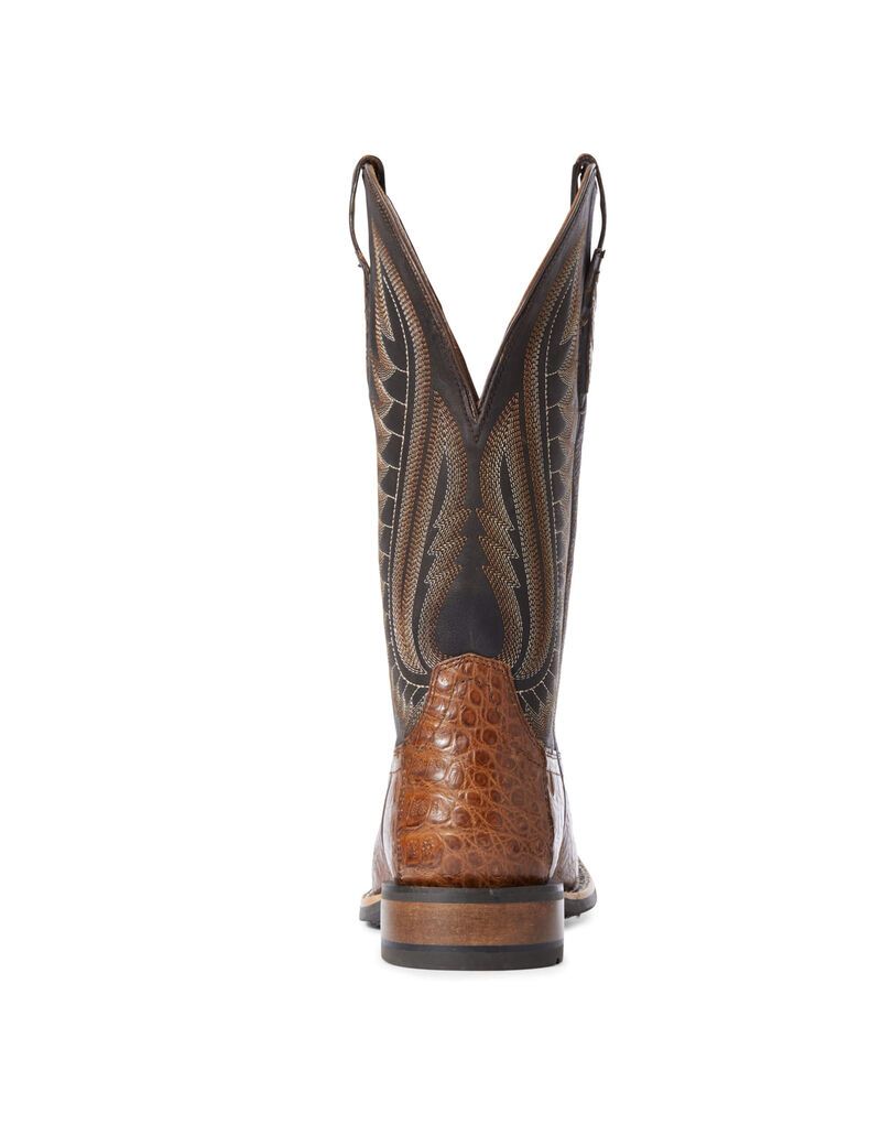 Bottes Western Ariat Double Down Multicolore | YHK-2385321