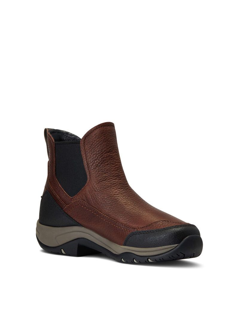 Bottes D'équitation Ariat Terrain Blaze Imperméables Marron Foncé | QGF-2549365