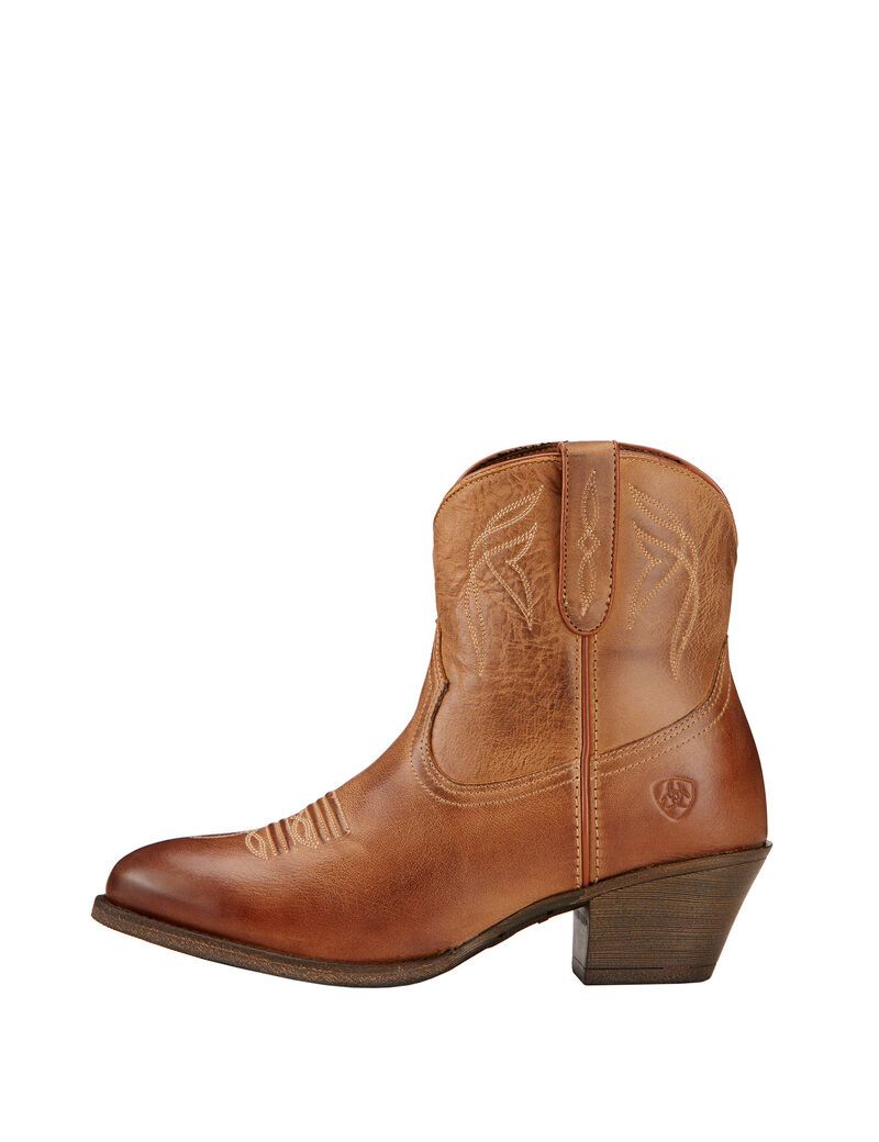 Bottines Ariat Darlin Western Multicolore | PKJ-3493564