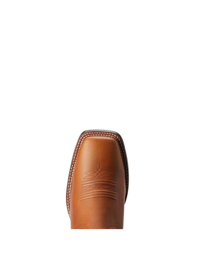 Bottes Western Ariat Circuit Fargo Multicolore | TJJ-0980409