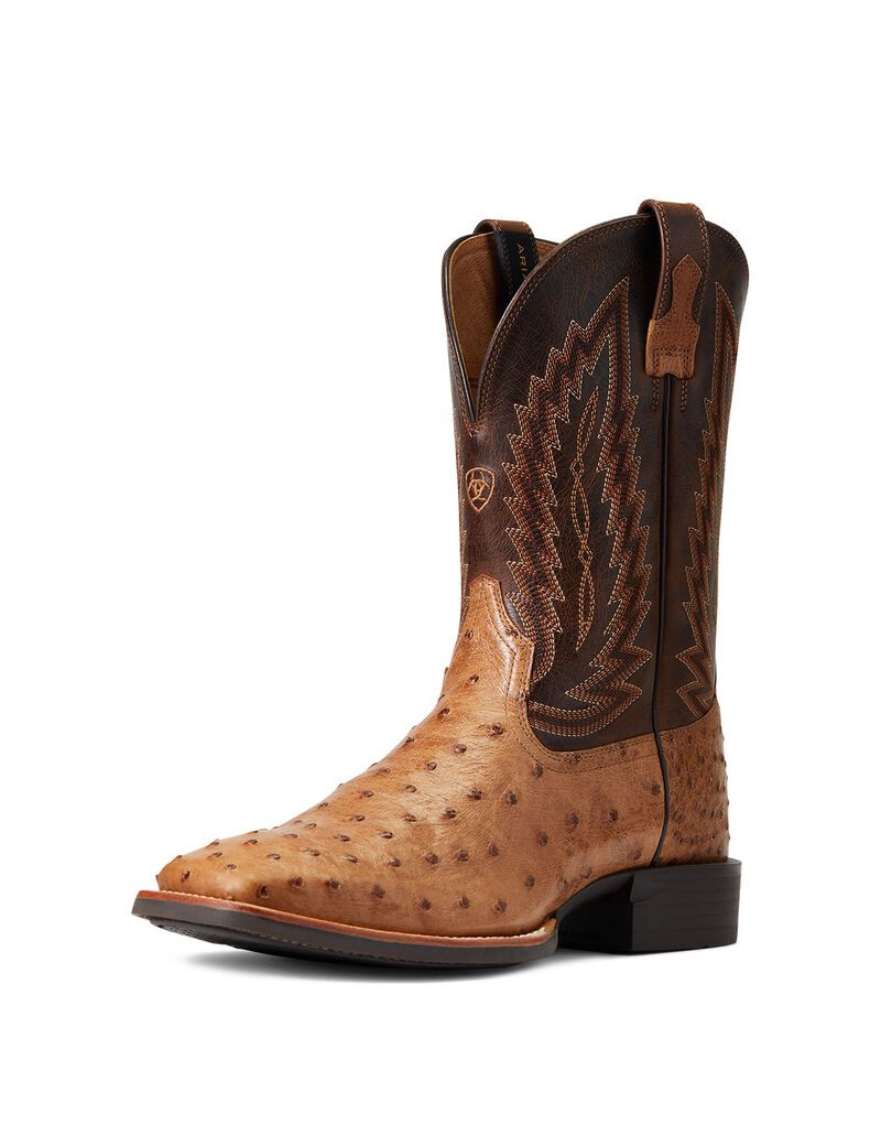 Bottes Western Ariat Quantum Primo Multicolore | OYX-9921780