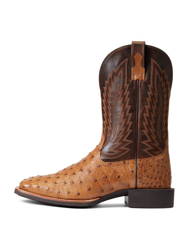 Bottes Western Ariat Quantum Primo Multicolore | OYX-9921780