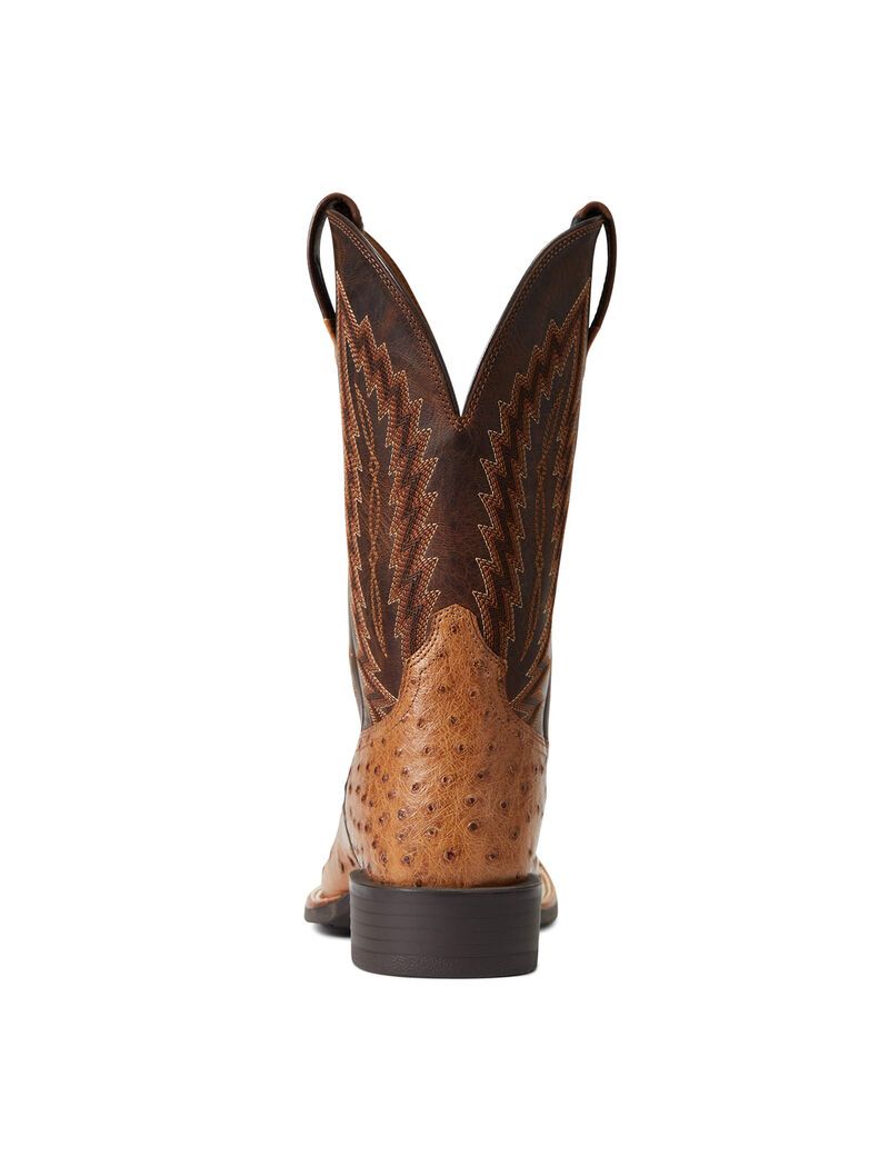 Bottes Western Ariat Quantum Primo Multicolore | OYX-9921780