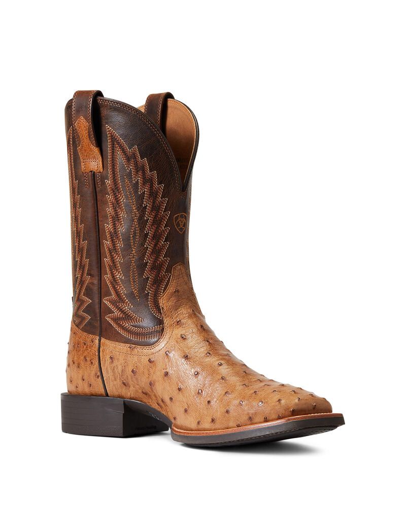 Bottes Western Ariat Quantum Primo Multicolore | OYX-9921780